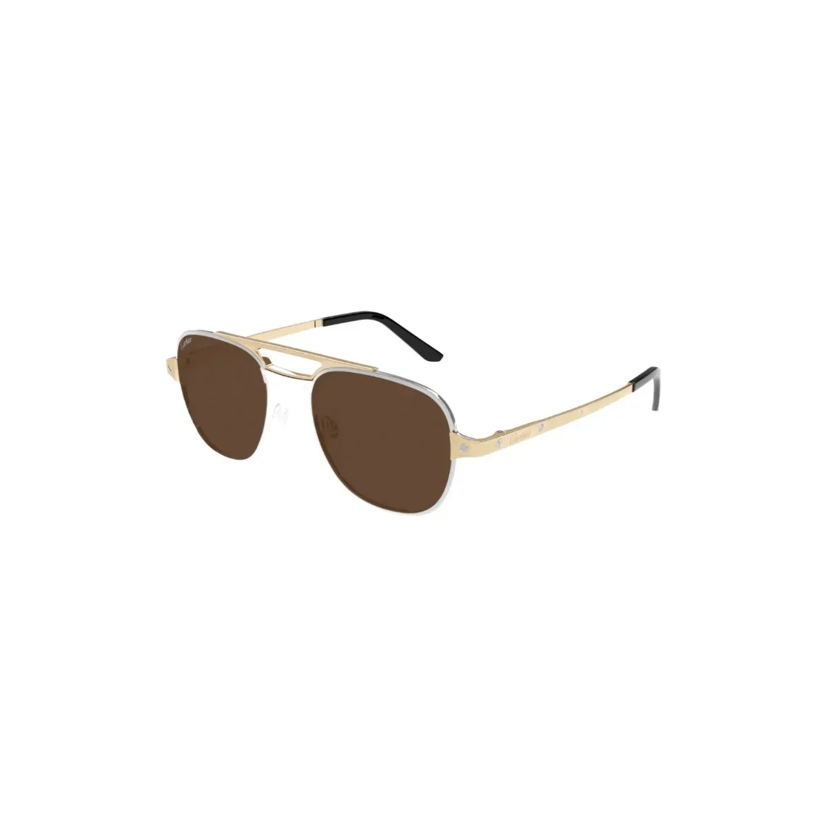 Cartier Alternative santos sunglasses in 