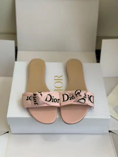 Dior Alternative Woven Embroidered Slides in