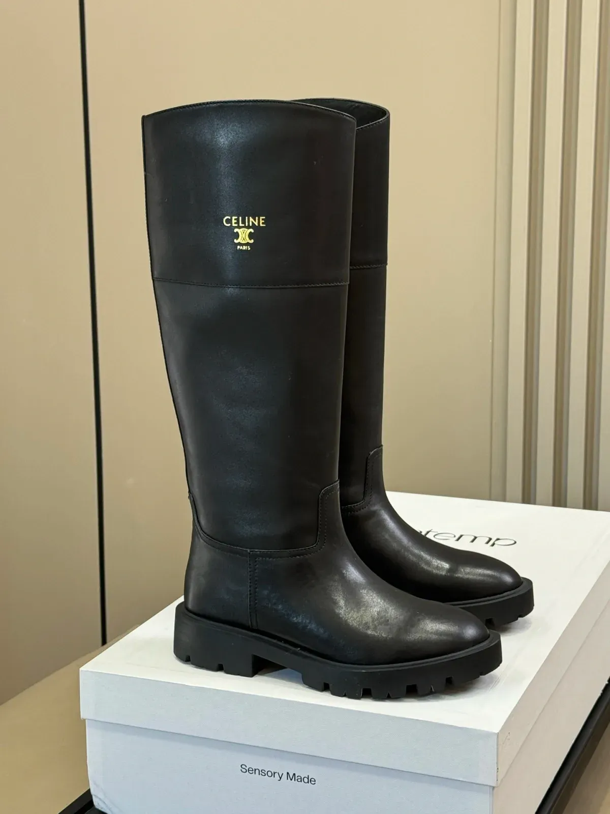 Celine Alternative Triomphe Knee Boots in 