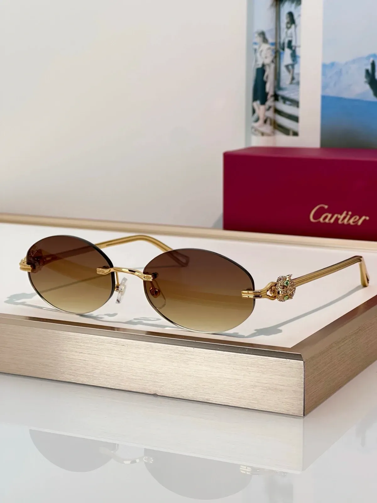 Cartier Alternative Sunglasses in 