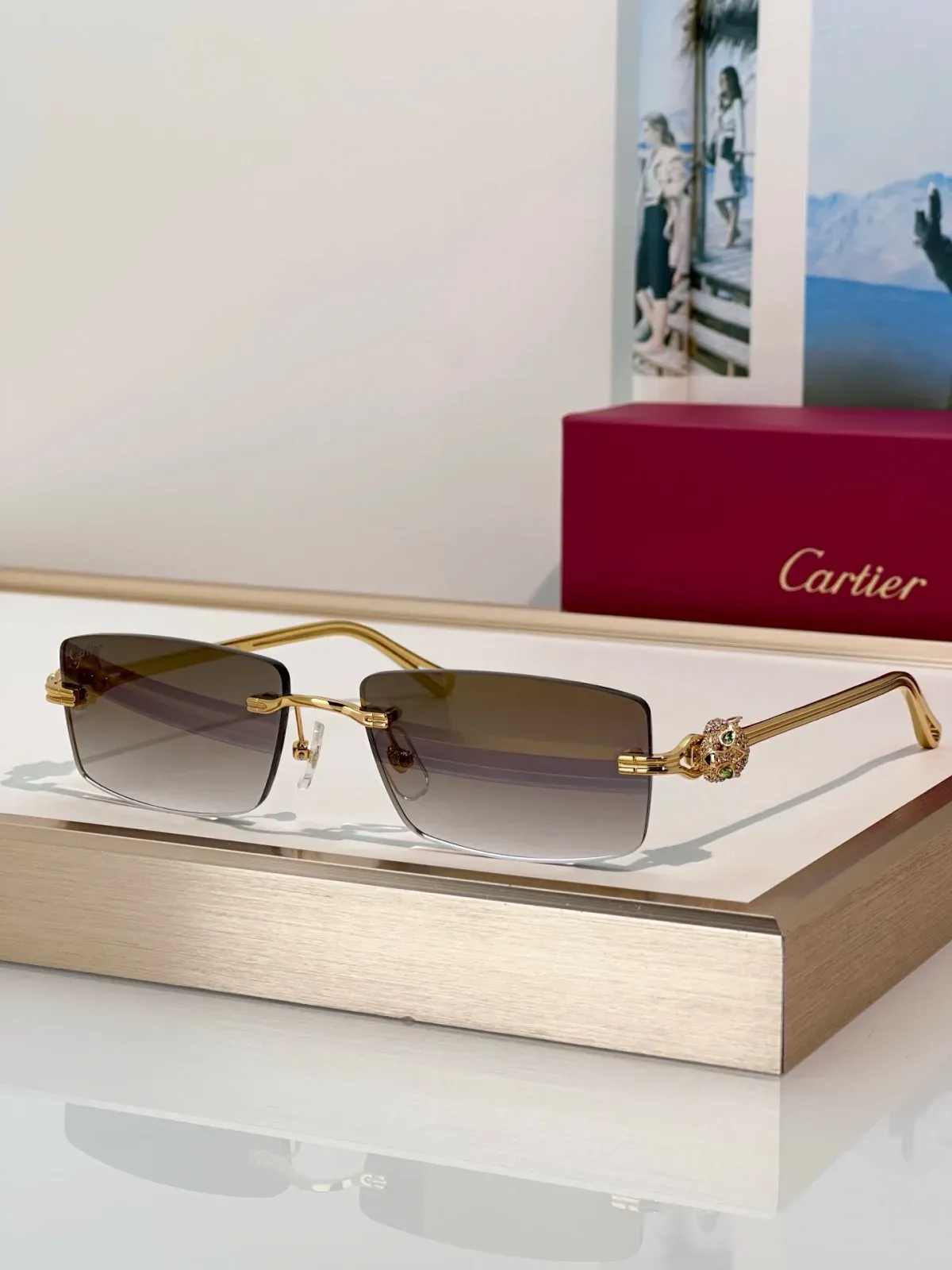 Cartier Alternative Sunglasses in 