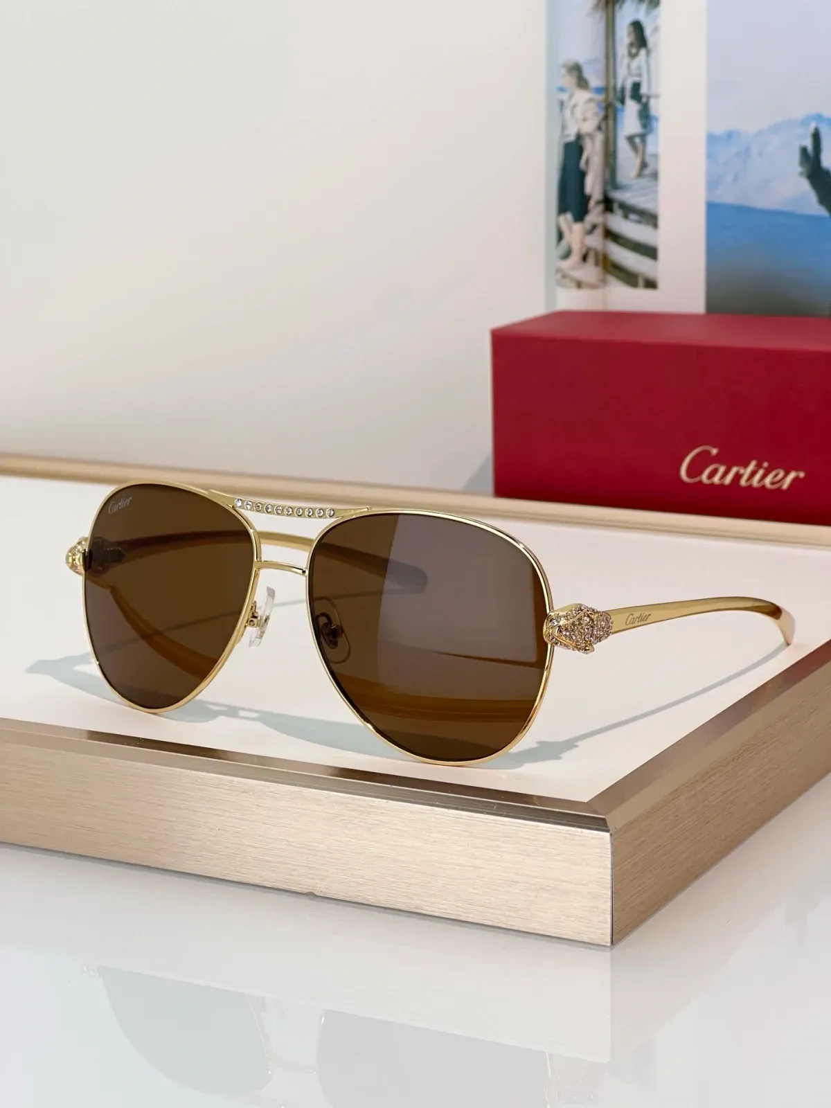 Cartier Alternative Titanium Sunglasses in 