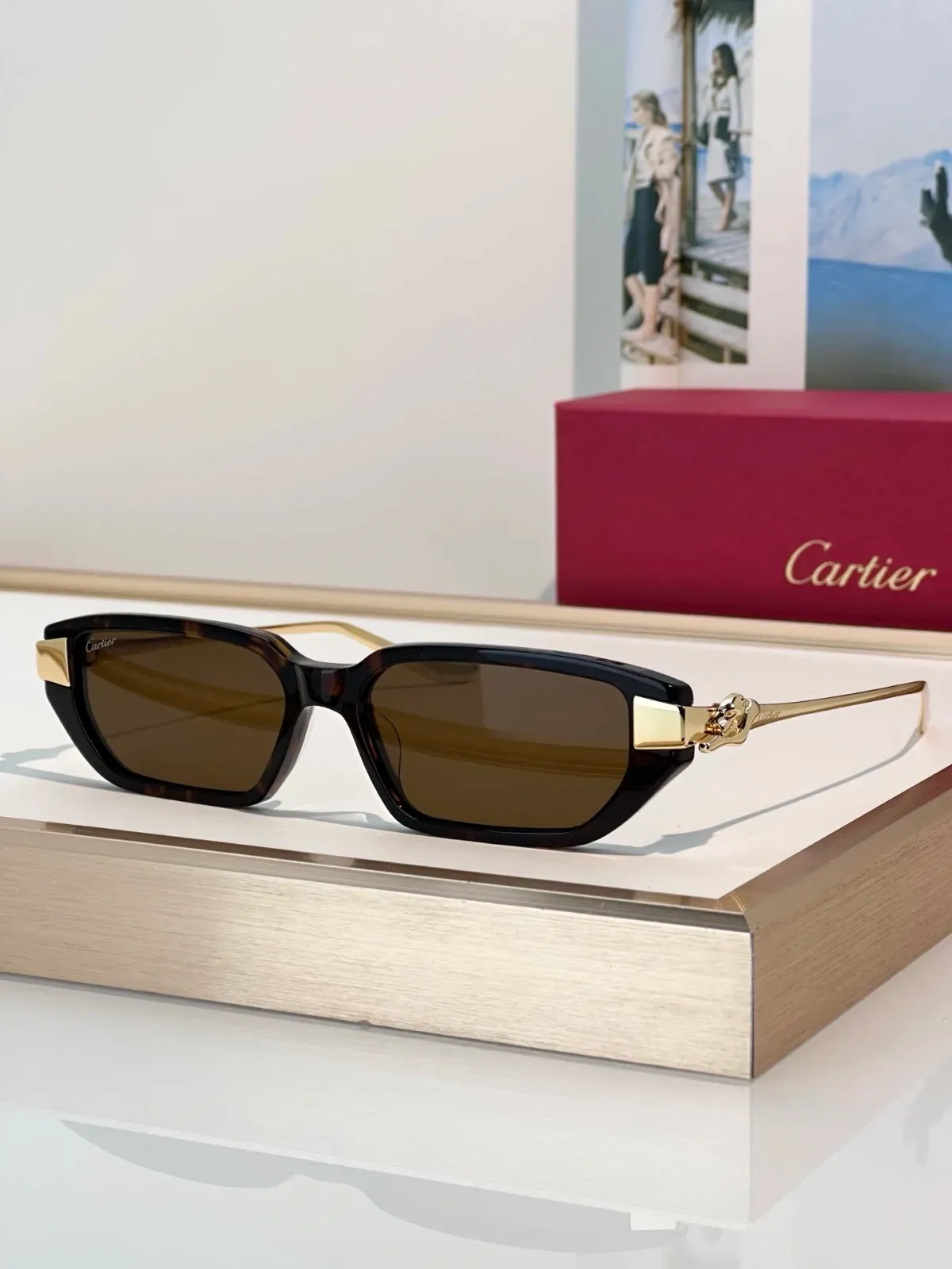 Cartier Alternative Sunglasses in 