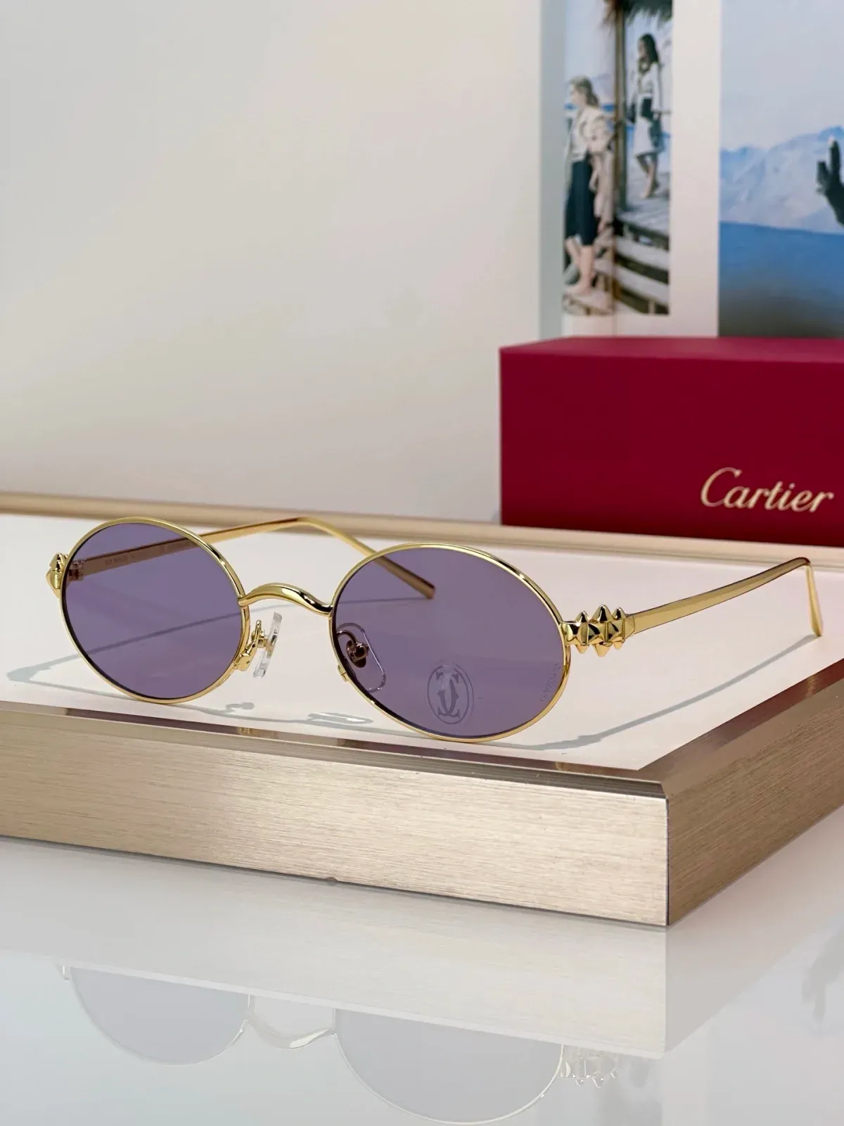 Cartier Alternative Classic Sunglasses in 