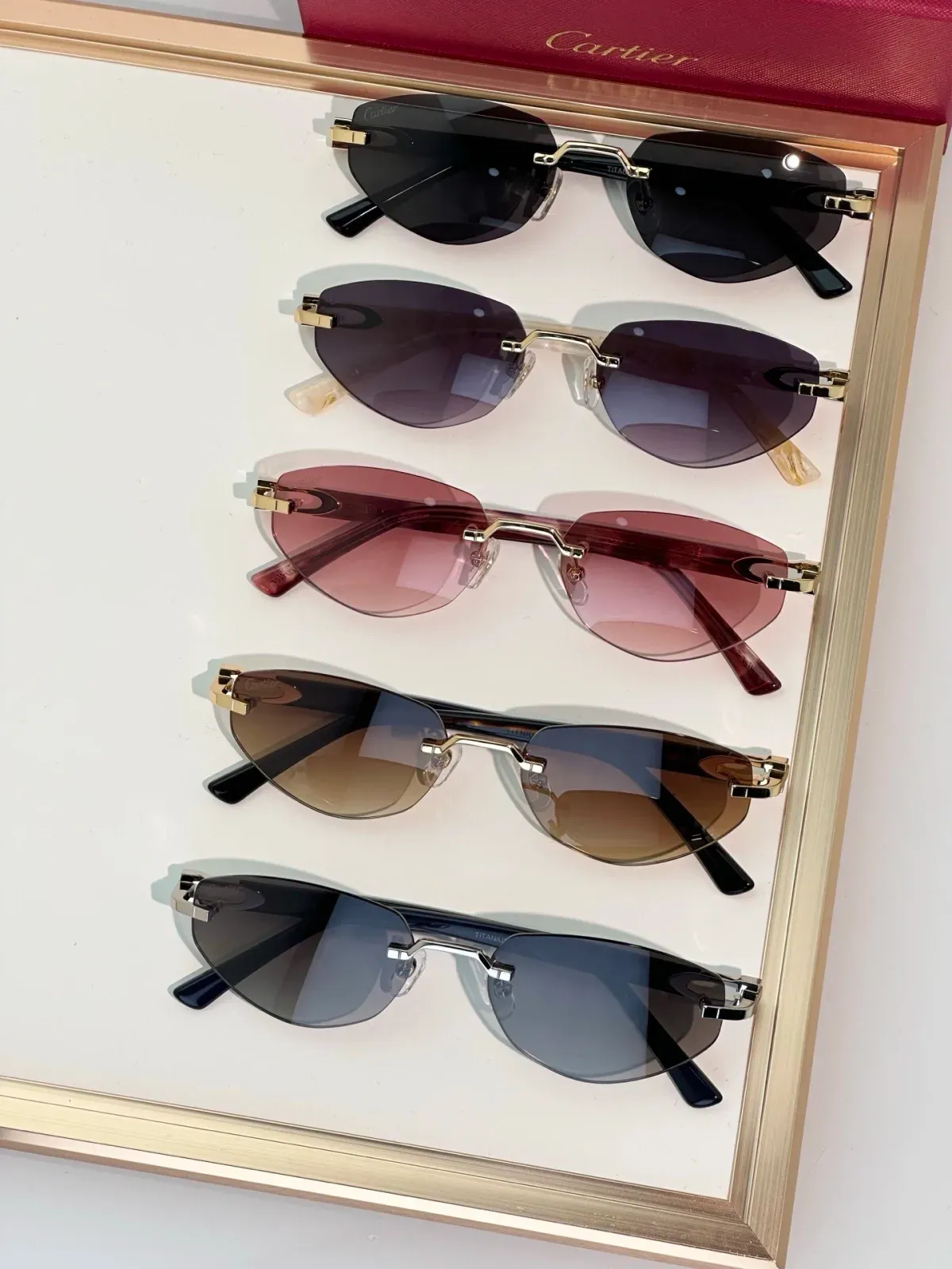 Cartier Alternative Titanium Sunglasses in 