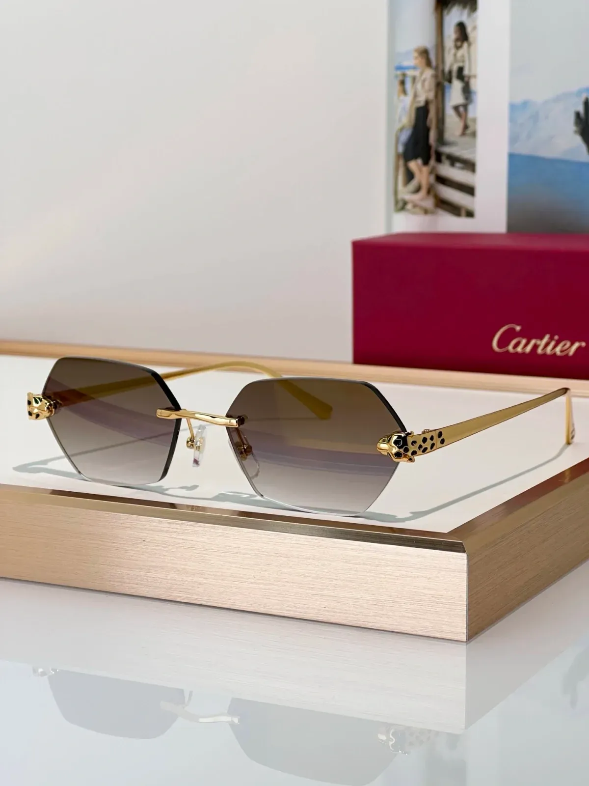 Cartier Alternative Classic Sunglasses in 