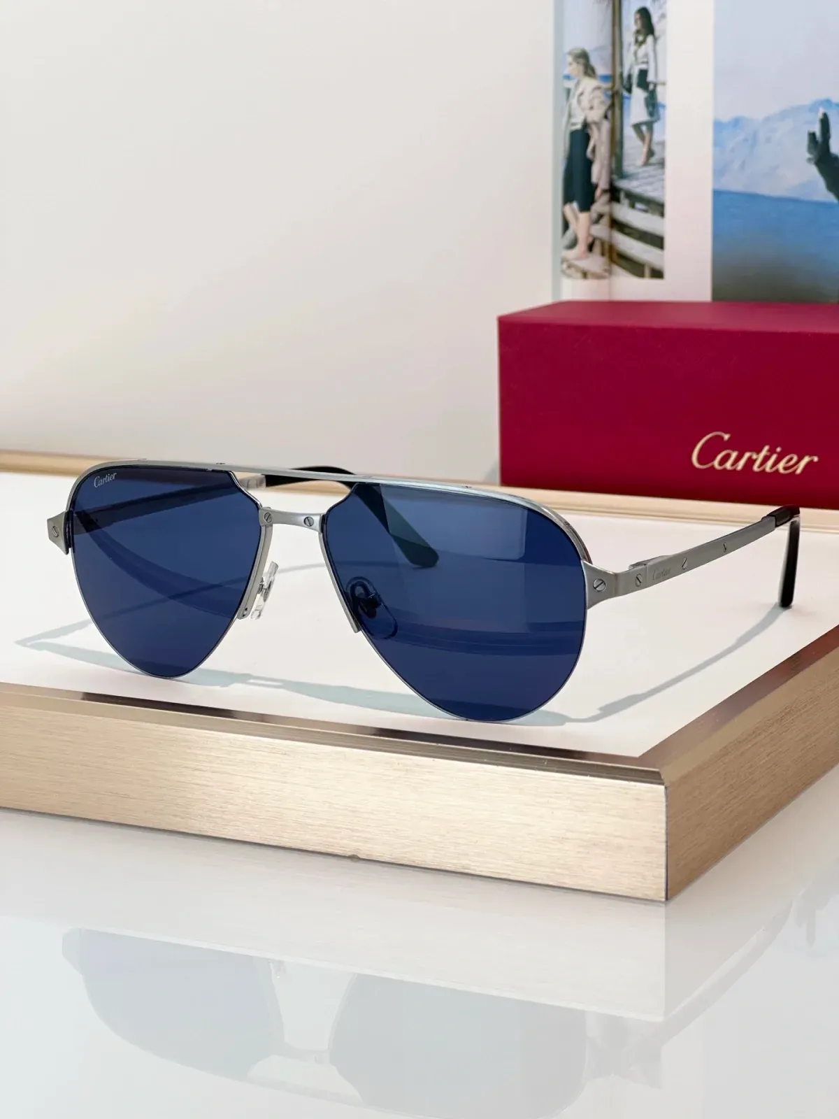 Cartier Alternative Titanium Sunglasses in ვერცხლისფერი