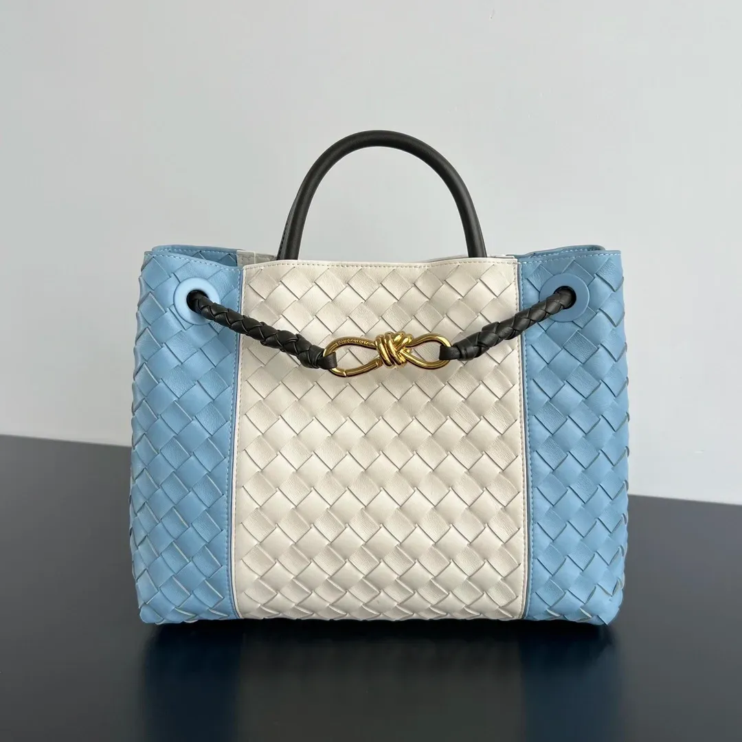 Bottega Veneta Alternative Andiamo Bag in 