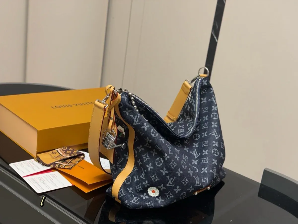 Louis Vuitton Alternative Hobo in 