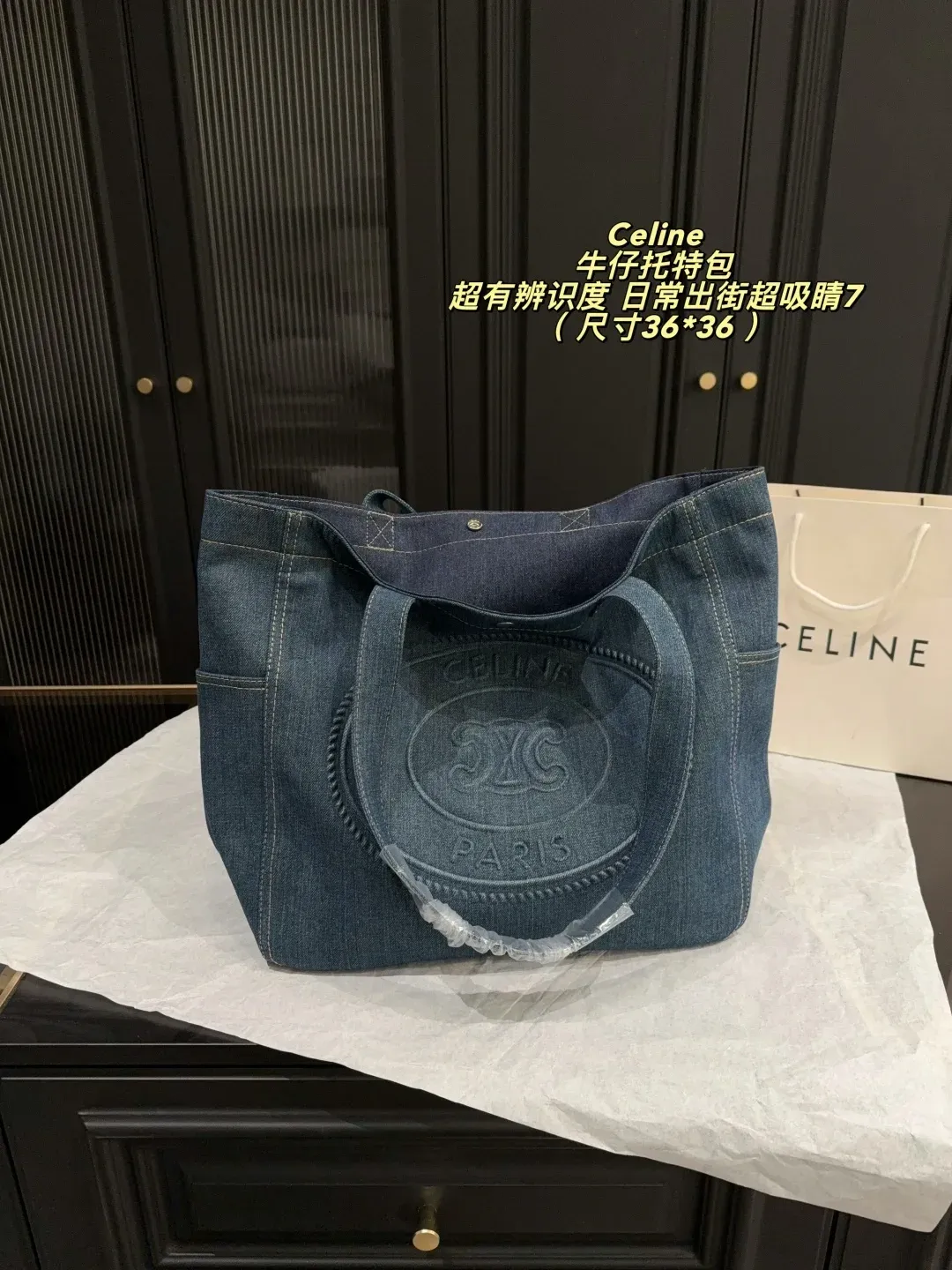 Celine Alternative Logo in Blue