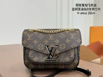 Louis Vuitton Alternative passy in